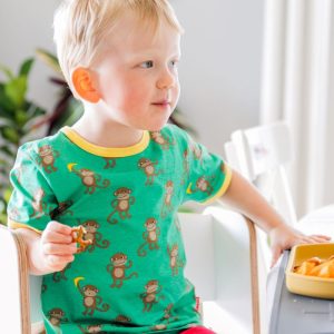 toby tiger monkey tshirt 1200x.jpg