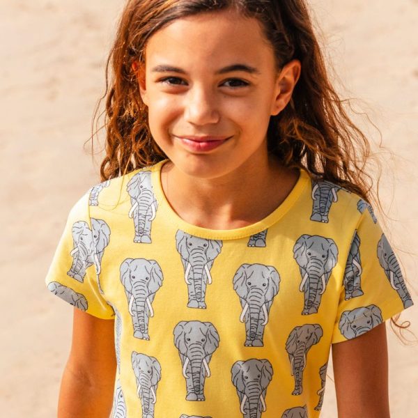 villervalla elephant tshirt 1200x.jpg